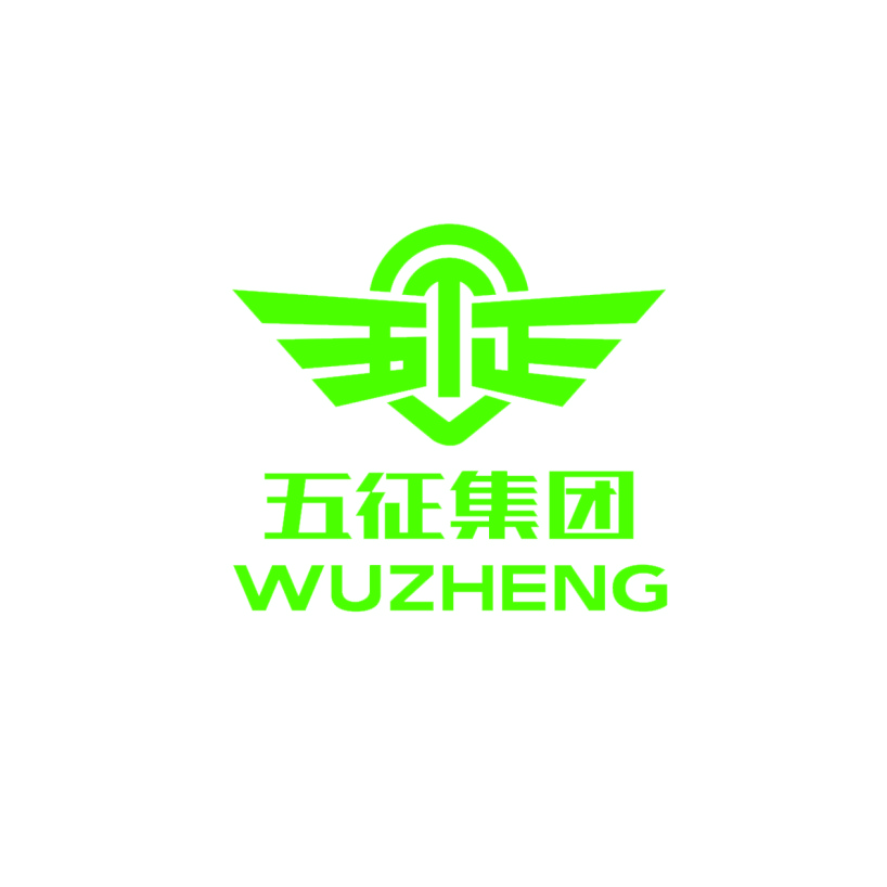 Shandong Wuzheng Group Co., Ltd